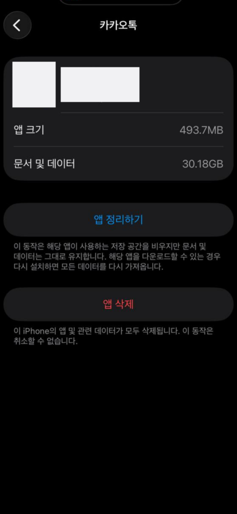 iPhone 저장공간의 앱 상세 화면에서 앱 정리하기와 앱 삭제 항목을 비교하는 화면