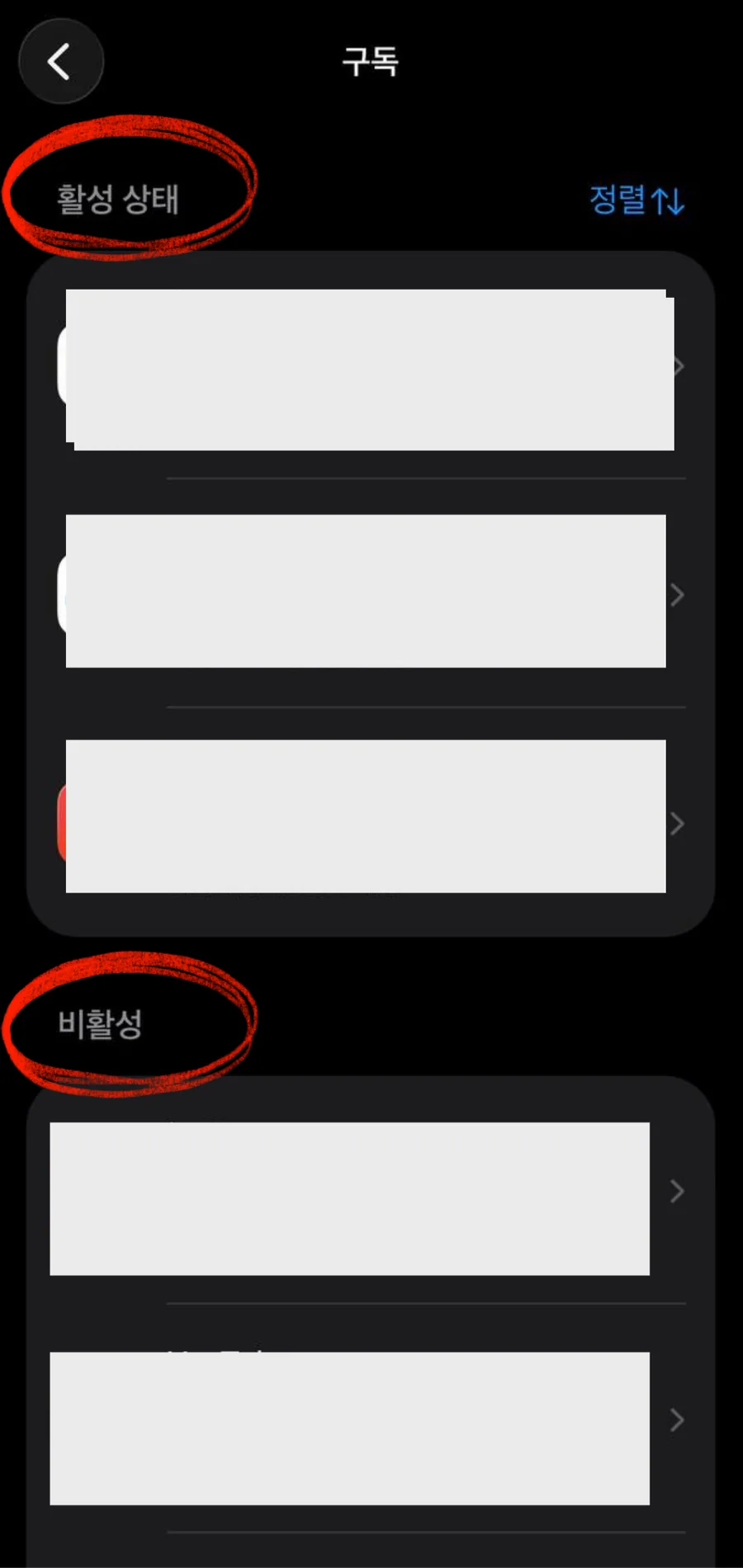 아이폰 설정의 구독 목록에서 활성 구독과 비활성 구독을 구분한 화면