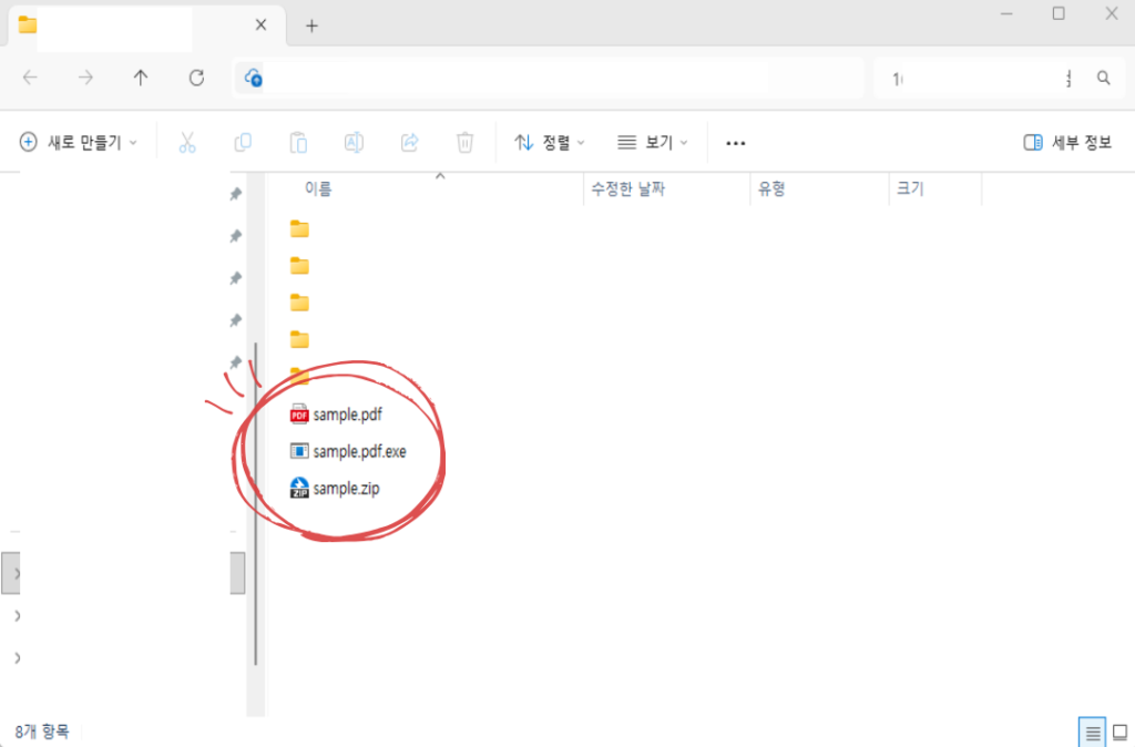 PDF와 이중 확장명 실행 파일 및 ZIP 파일 이름을 비교한 화면